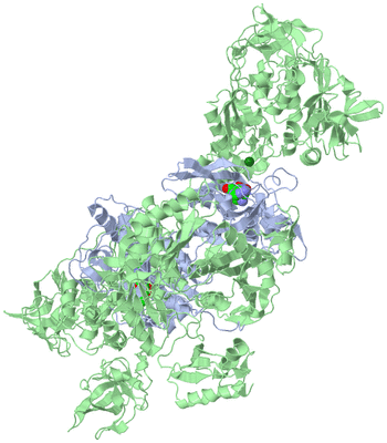 Image Biological Unit 1