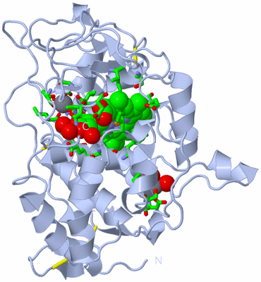 Image Biol. Unit 1 - sites