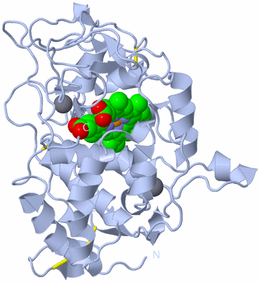 Image Biological Unit 1