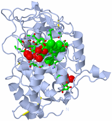 Image Biol. Unit 1 - sites