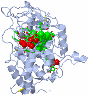 Image Biol. Unit 1 - sites