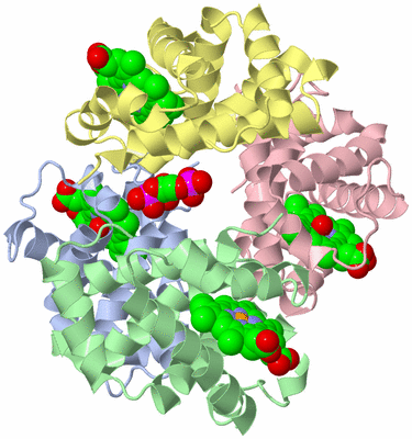 Image Asym./Biol. Unit