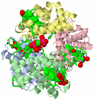 Image Asym./Biol. Unit - sites