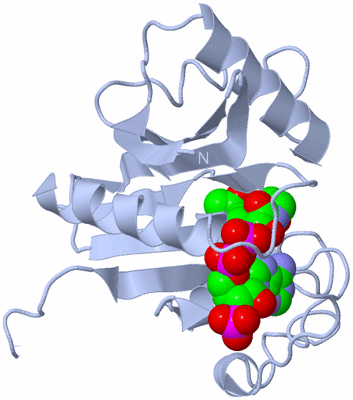 Image Biological Unit 1