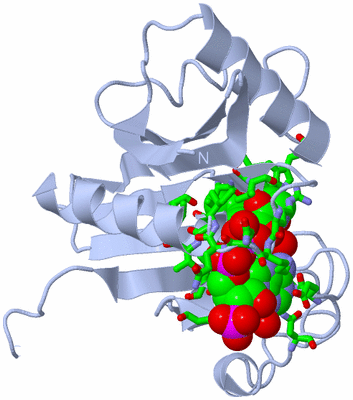 Image Biol. Unit 1 - sites