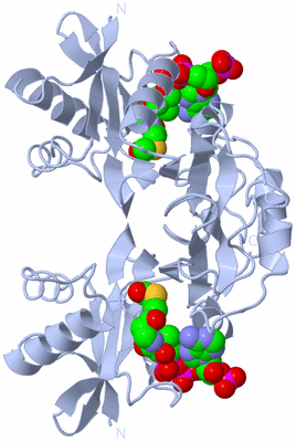 Image Biological Unit 2