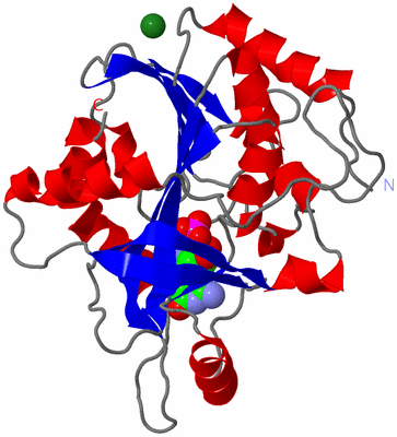 Image Asymmetric Unit