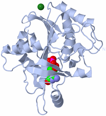 Image Biological Unit 1