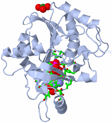 Image Biol. Unit 1 - sites