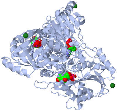 Image Biological Unit 2