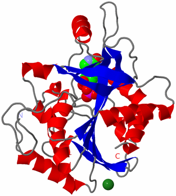 Image Asymmetric Unit