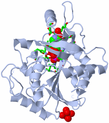 Image Biol. Unit 1 - sites