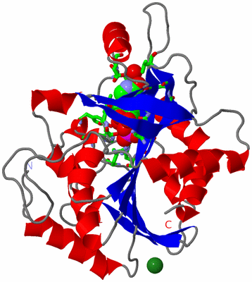 Image Asym. Unit - sites