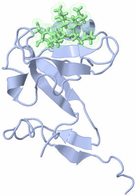 Image NMR Structure - model 1