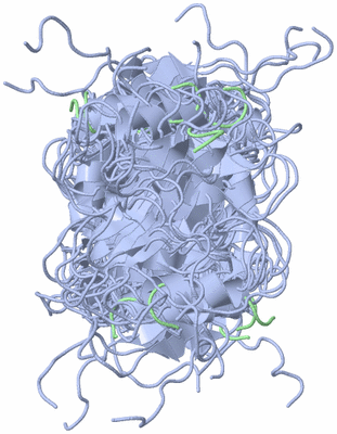 Image NMR Structure - all models