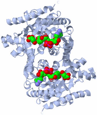 Image Biological Unit 1