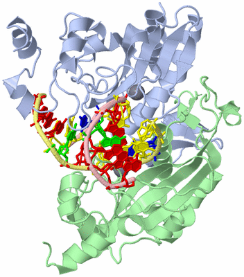 Image Asym./Biol. Unit