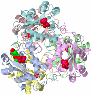 Image Asym./Biol. Unit