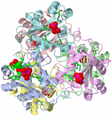 Image Asym./Biol. Unit - sites