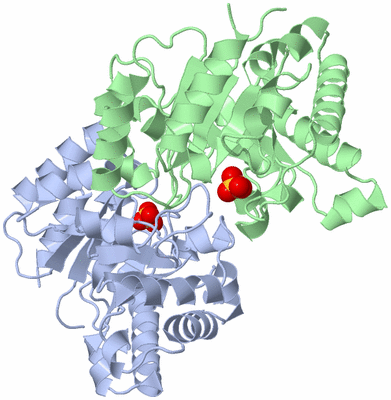 Image Biological Unit 2