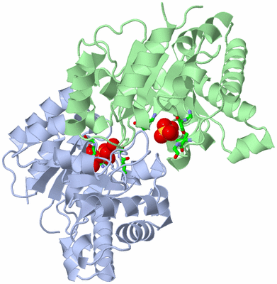 Image Asym. Unit - sites