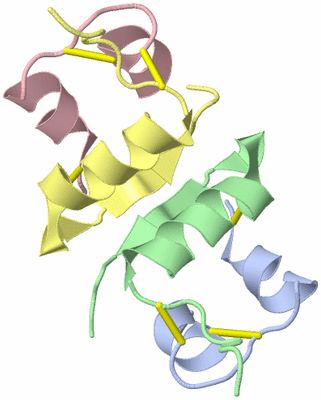 Image Asymmetric Unit