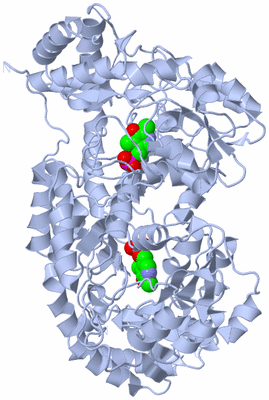 Image Biological Unit 1