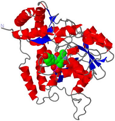 Image Asymmetric Unit