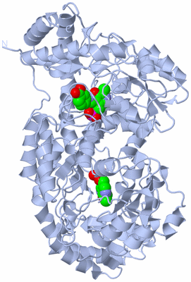 Image Biological Unit 1