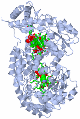 Image Biol. Unit 1 - sites