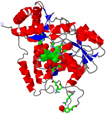 Image Asym. Unit - sites