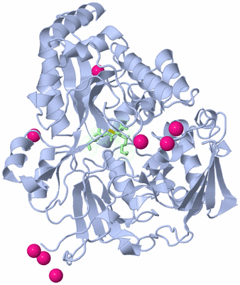 Image Asym./Biol. Unit