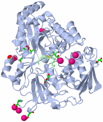 Image Asym./Biol. Unit - sites