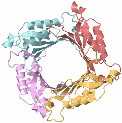 Image Biological Unit 3