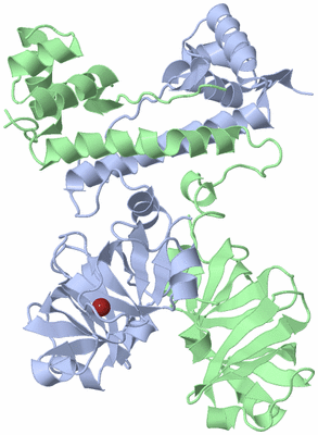 Image Asym./Biol. Unit