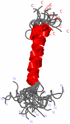 Image NMR Structure - all models