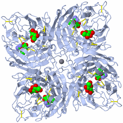 Image Biological Unit 1