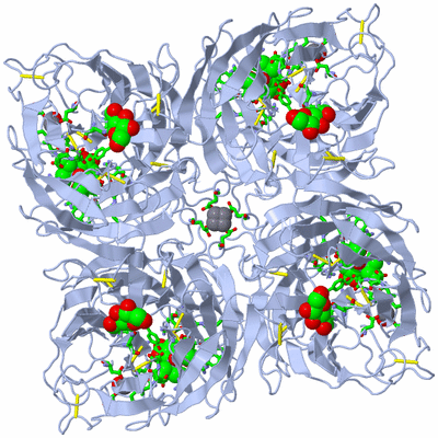 Image Biol. Unit 1 - sites