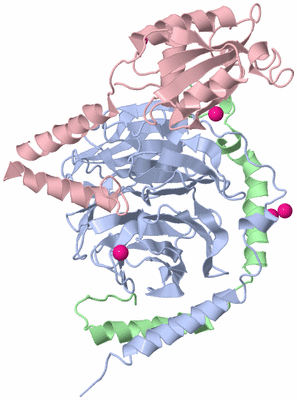 Image Asym./Biol. Unit