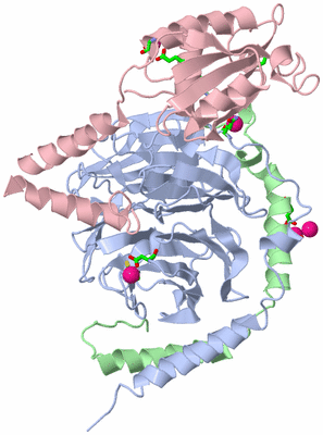 Image Asym./Biol. Unit - sites