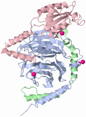 Image Asym./Biol. Unit