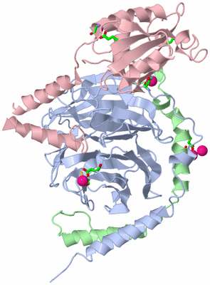 Image Asym./Biol. Unit - sites