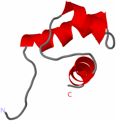 Image NMR Structure - model 1