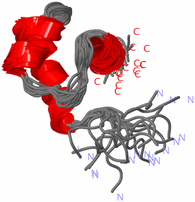 Image NMR Structure - all models