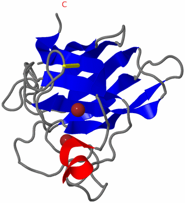 Image NMR Structure - model 1