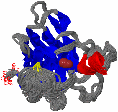 Image NMR Structure - all models