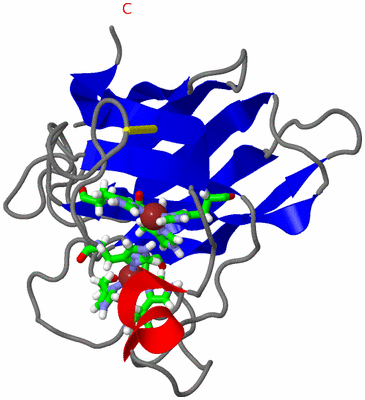 Image NMR Structure - model 1, sites