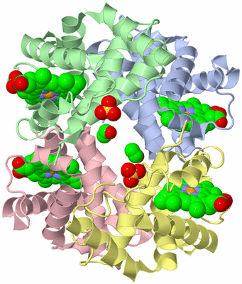 Image Asym./Biol. Unit