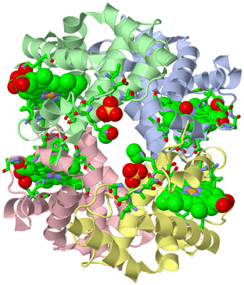 Image Asym./Biol. Unit - sites