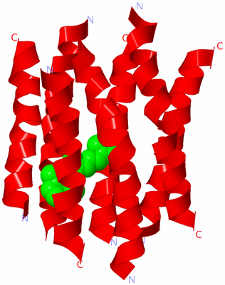 Image Theoretical Model